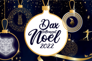 Dax-noel-logo