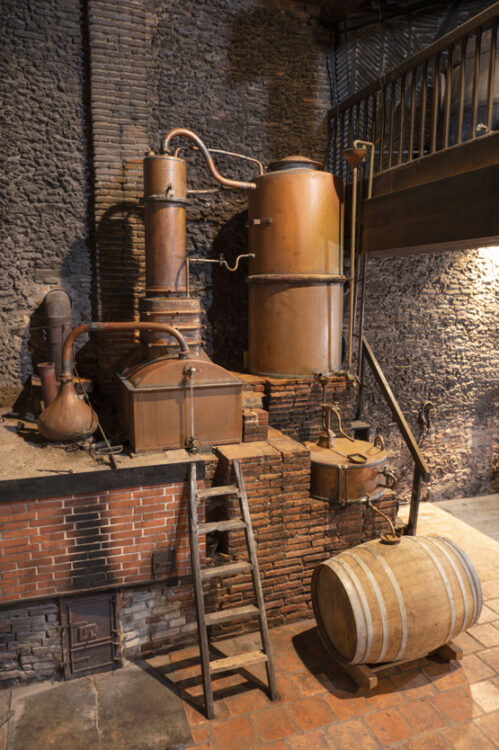distillation-alambic-domaine-dognoas