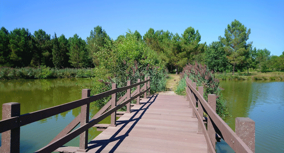 étang-de-massy-passerelle