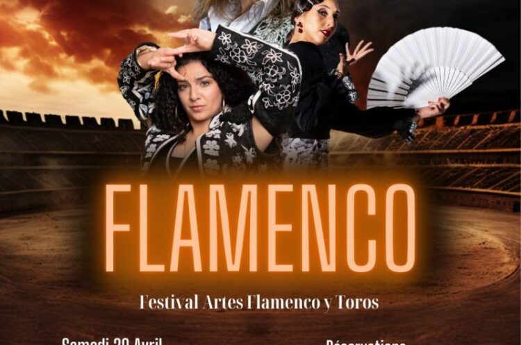 arte flamenco y toros