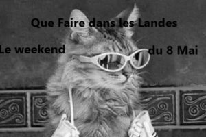 weekend 8 mai