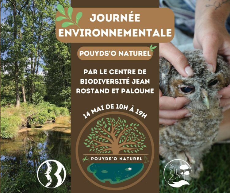 journée environnementale