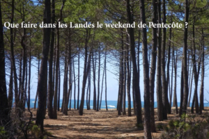 que-faire-dans-les-landes-Pentecote