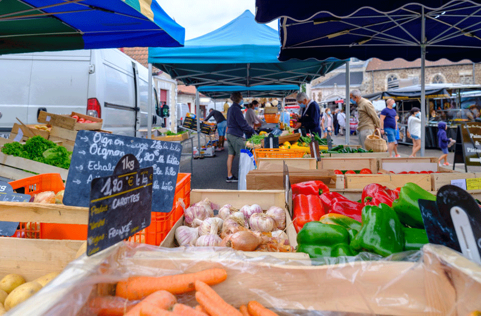 Marche-des-producteurs-Parentis