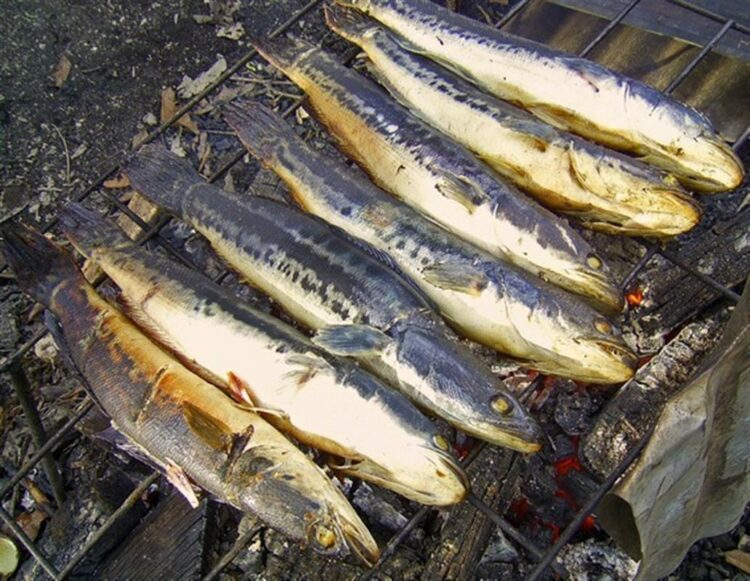 sardinade