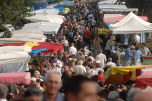 foire-ousse-suzan-landes1