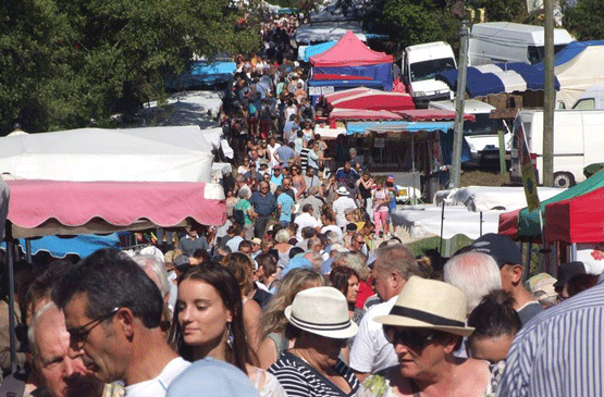 foire-ousse-suzan-landes6