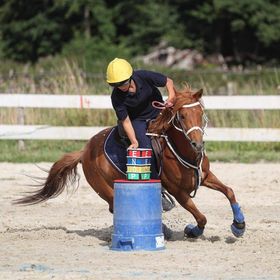 Poney club grand lio