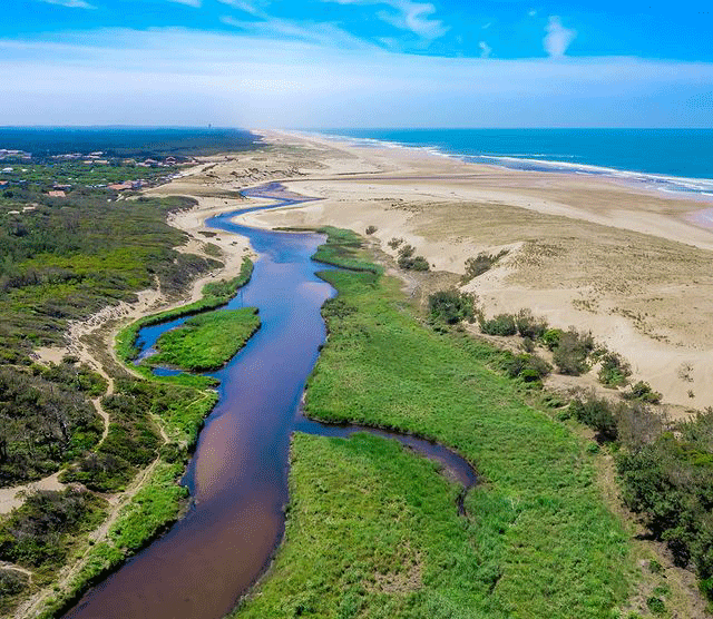 courant-d'huchet-réserve-naturelle-landes