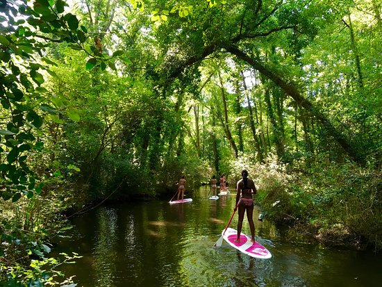 Automne Landes-courant huchet-paddle