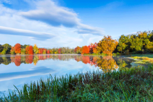 patrick-fouré-lac-christus-landes-automne