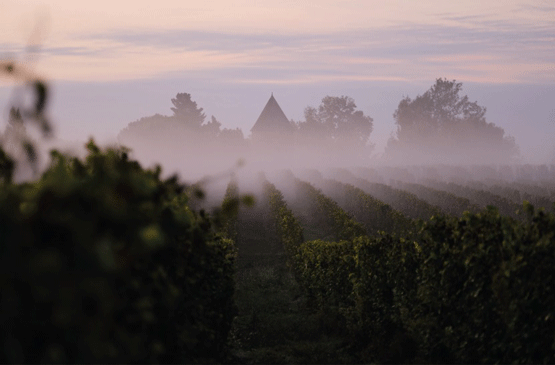 armagnac-landes1