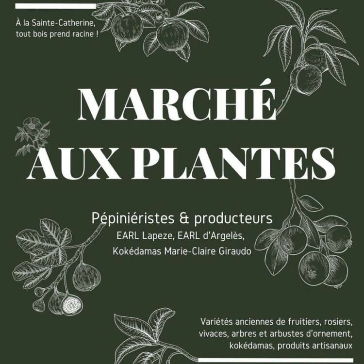 marché aux plantes