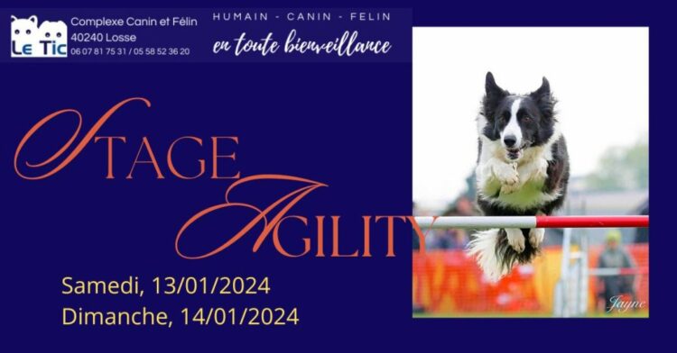 losse---stage-agility-au-tic---13---14-janvier