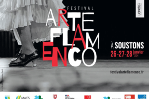 Arte-Flamenco-Soustons-Landes