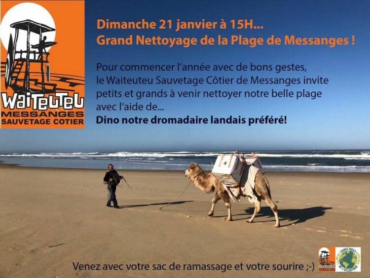 nettoyage-plage-messanges-dino