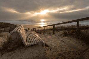 banc-du-cap-eric-dupont-exposition