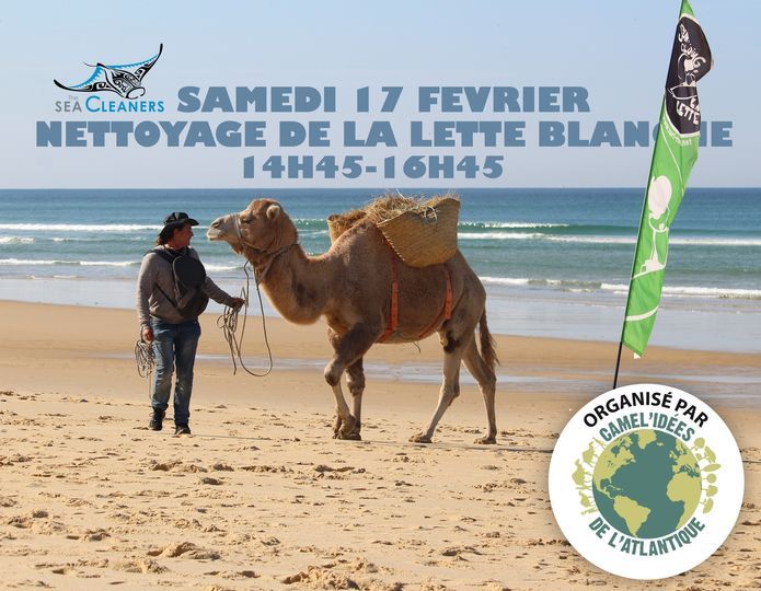 vsg-plage-17-fevrier