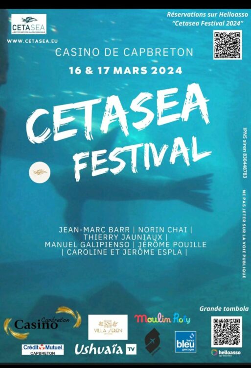 cetasea festival