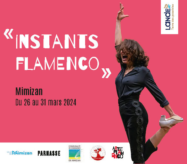 Instant Flamenco
