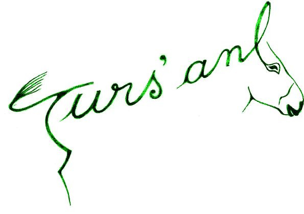 logo de la ferme aux ânes Turs'âne. 