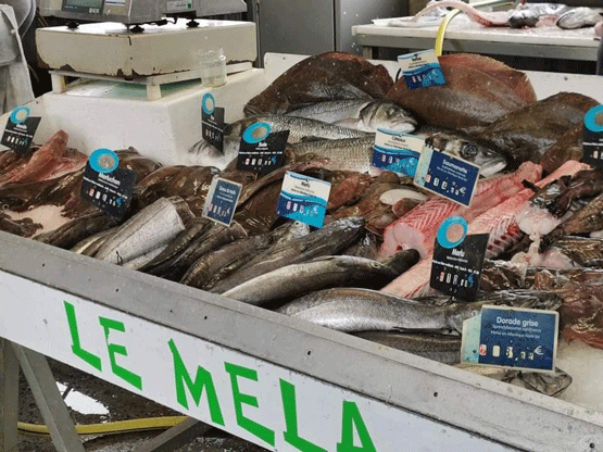 marché-poissons-capbreton-landes