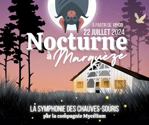 nocturne à Marquèze