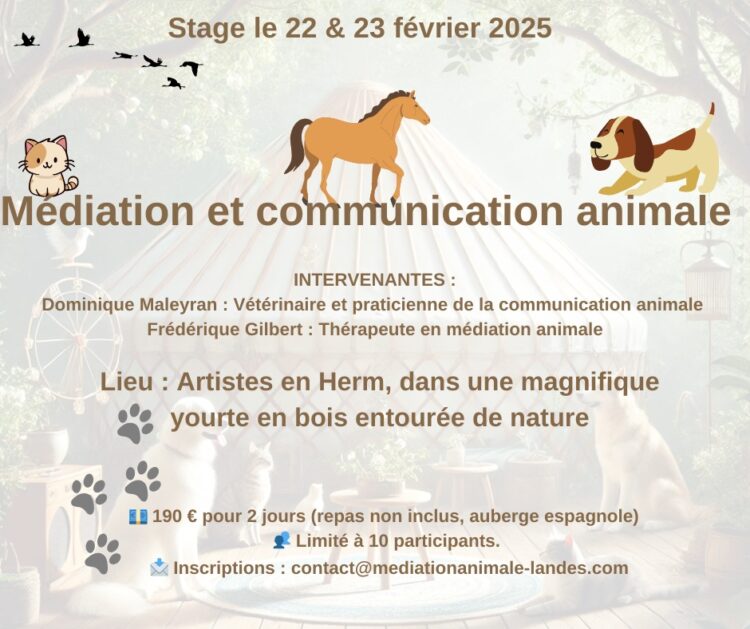 médiation communication animale
