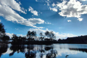 lac dans les Landes
