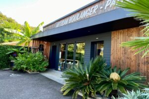 a-lombre-des-palmers-tarnos