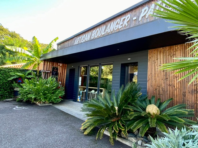 a-lombre-des-palmers-tarnos